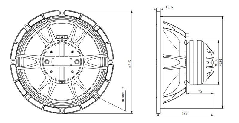 MR12N76-75T 12 inch Neodymium coaxial