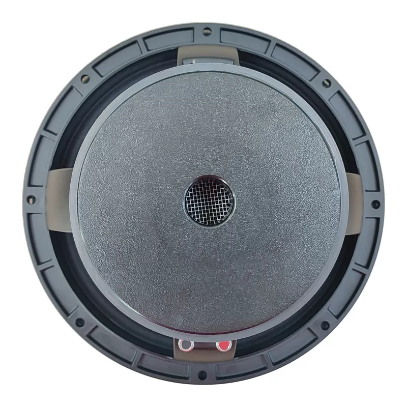 MR10H06D 10 inch woofer