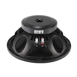 MR12H100 12 inch audio speaker