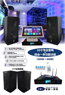 How many speaker manufacturers do professional speakers have?