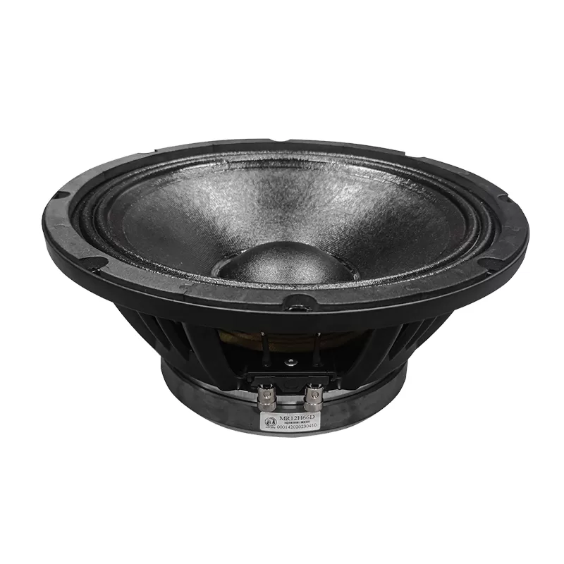 MR12H66D 12 inch speaker