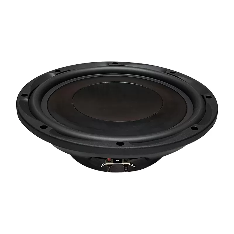 MR-10B 10 inch car speaker