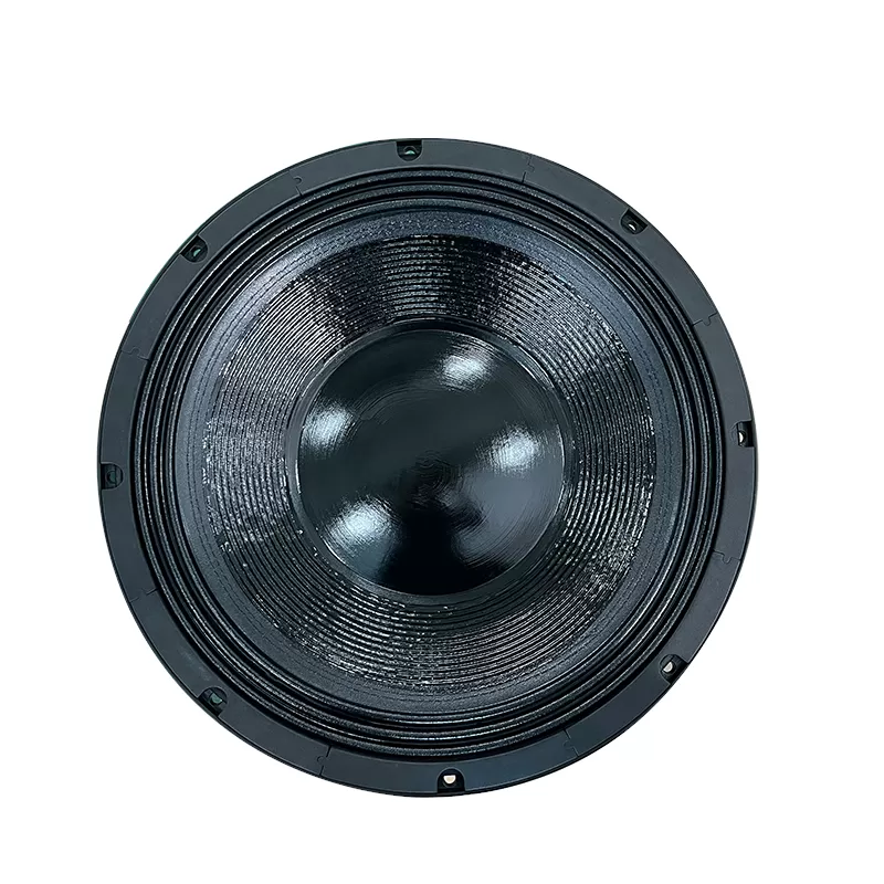 MR21H09C 21 inch speaker subwoofer
