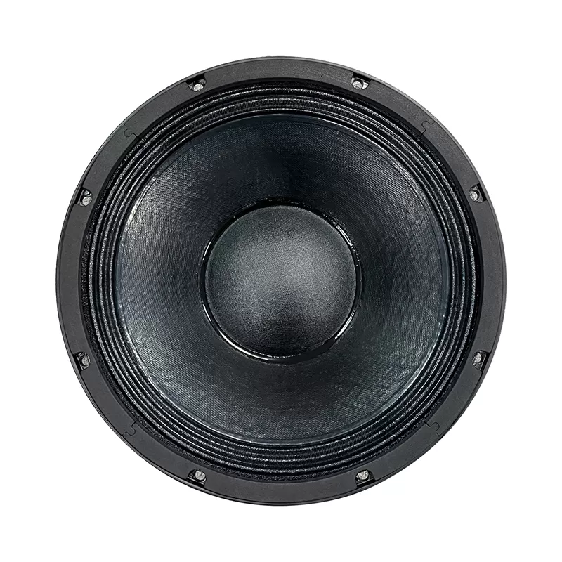 MR12H01FT 12 inch speaker