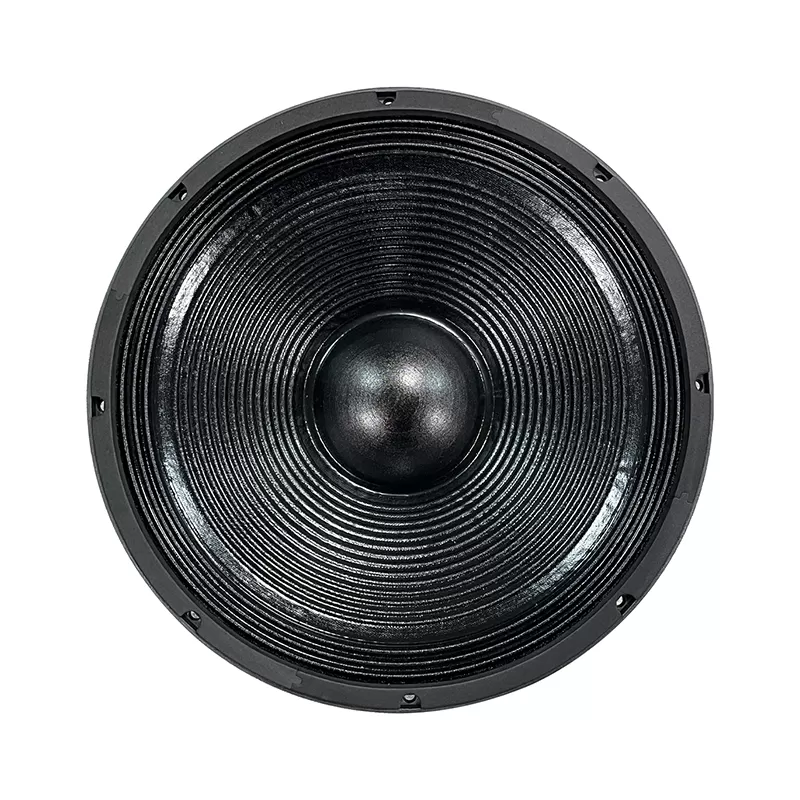 MR15H01FT 15 inch speaker
