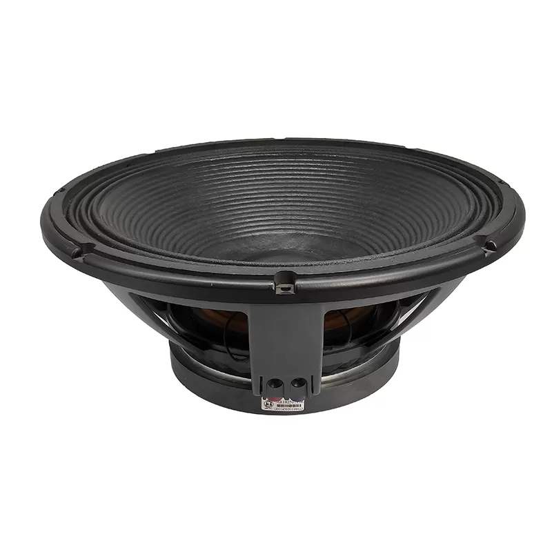 MR18250115 Pro 18 inch subwoofer