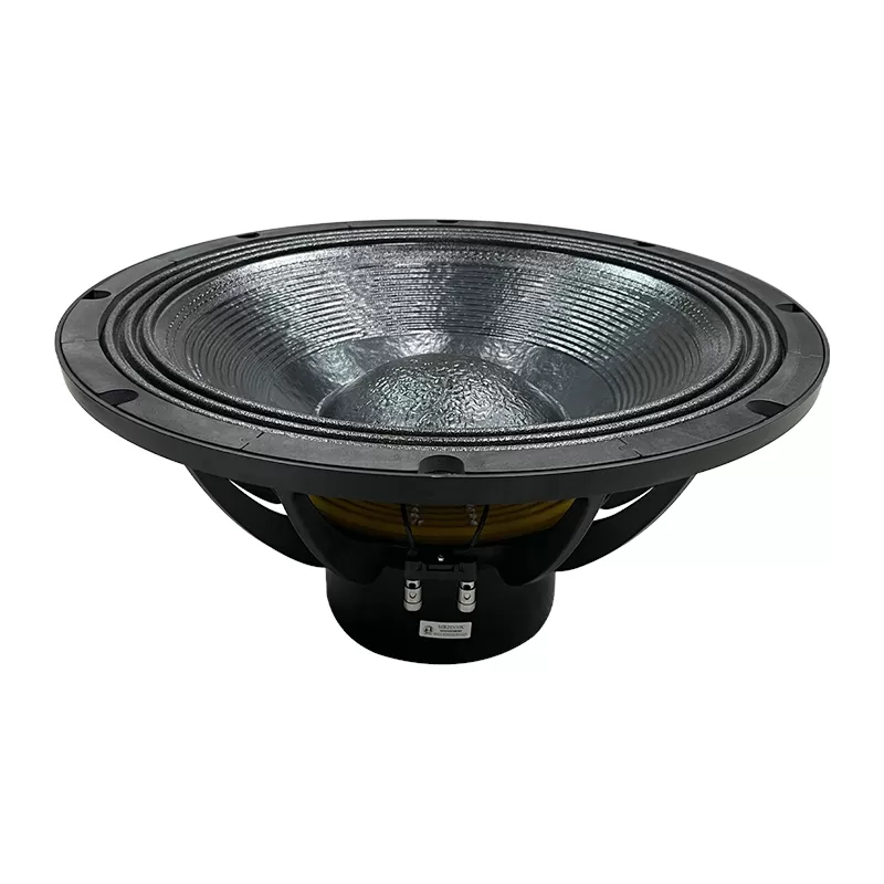 MR21N10C 21 inch Neo speaker