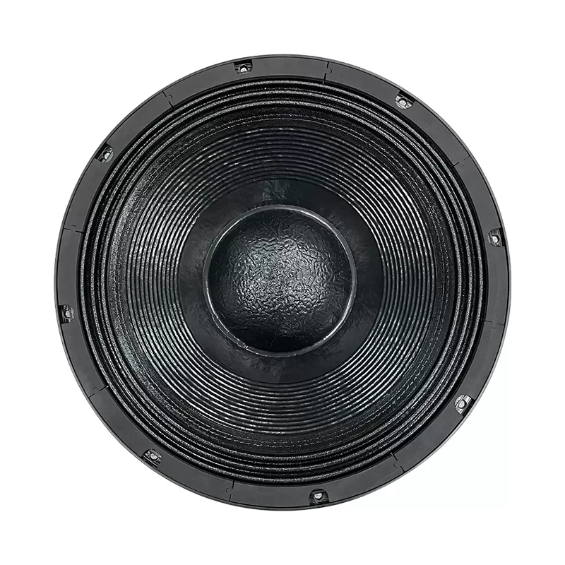MR21N10C 21 inch Neo speaker