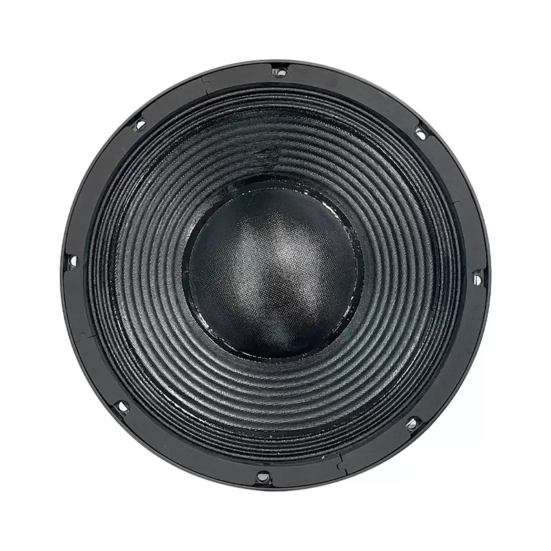 MR12TBX100 audio speaker 12 inch loudspeaker