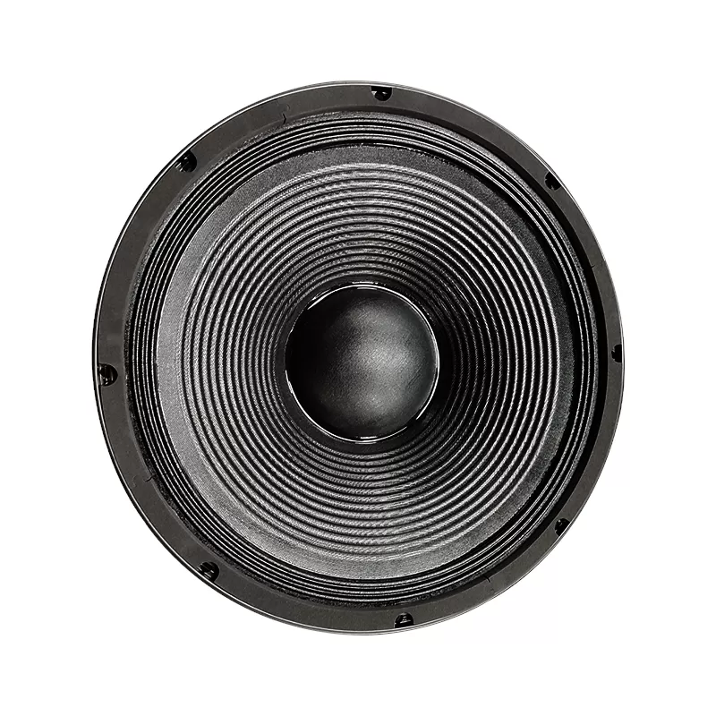 MR15TBX100-D 15 inch speaker