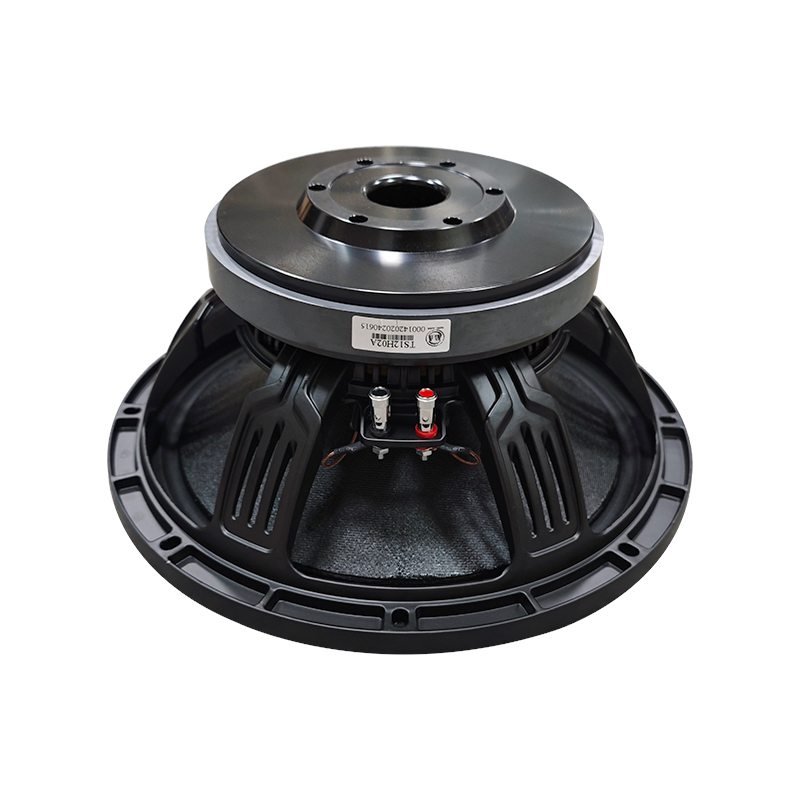 TS12H02A audio speaker 12 inch woofer