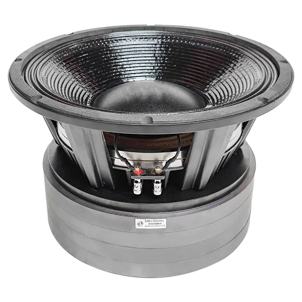 MR15H09G big power 15 inch subwoofer