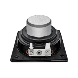 MR02N01 2.5 inch LF driver 20 Watts