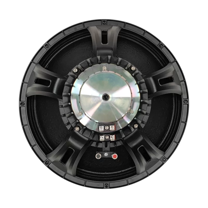 MR18100-464 18 inch coaxial speaker