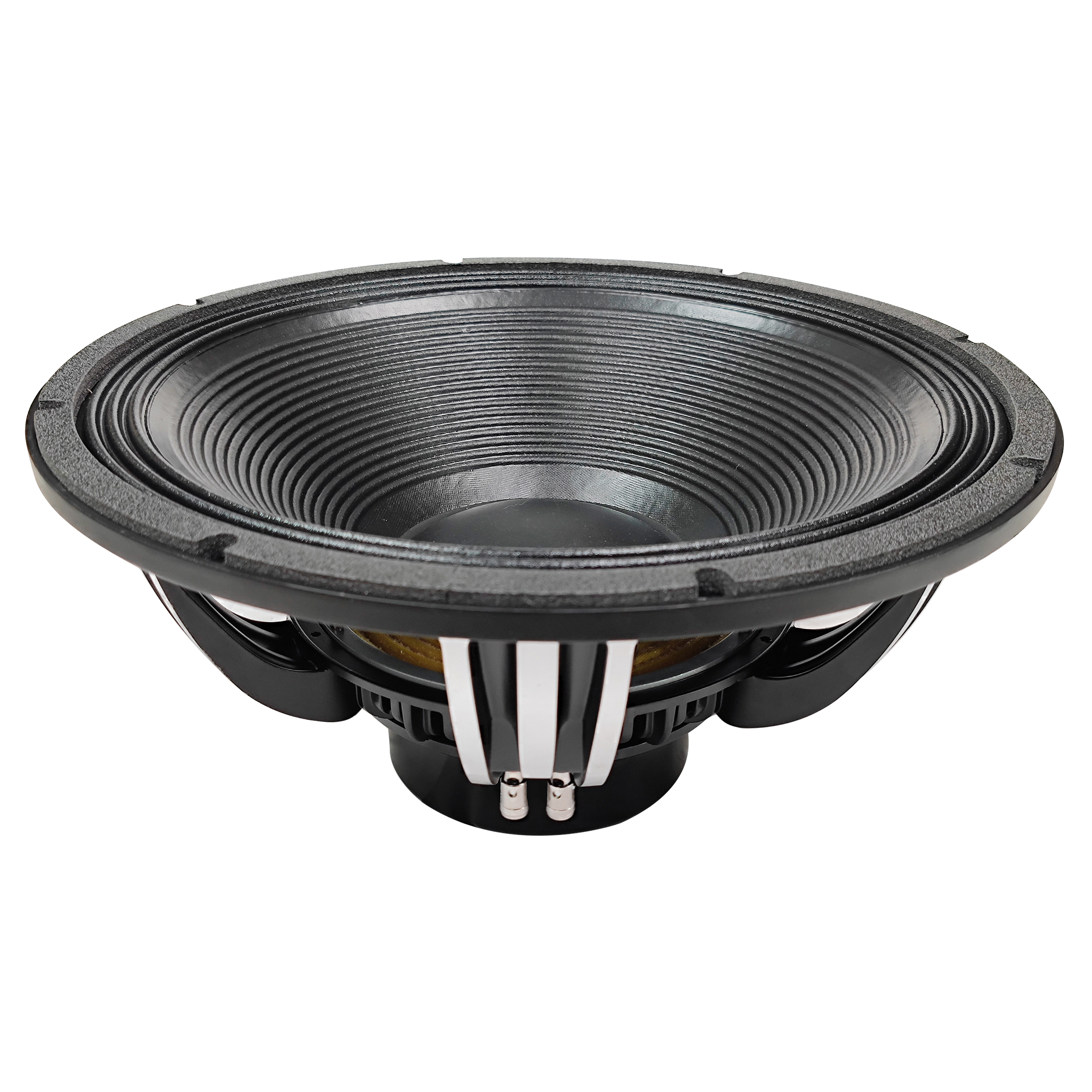 BH18N10A 18 inch neodymium magnet speaker