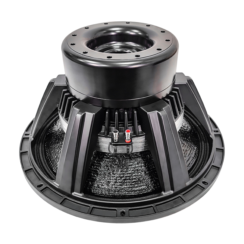 DF21N200-4 21 inch subwoofer Neo magnet speaker Manufacturer