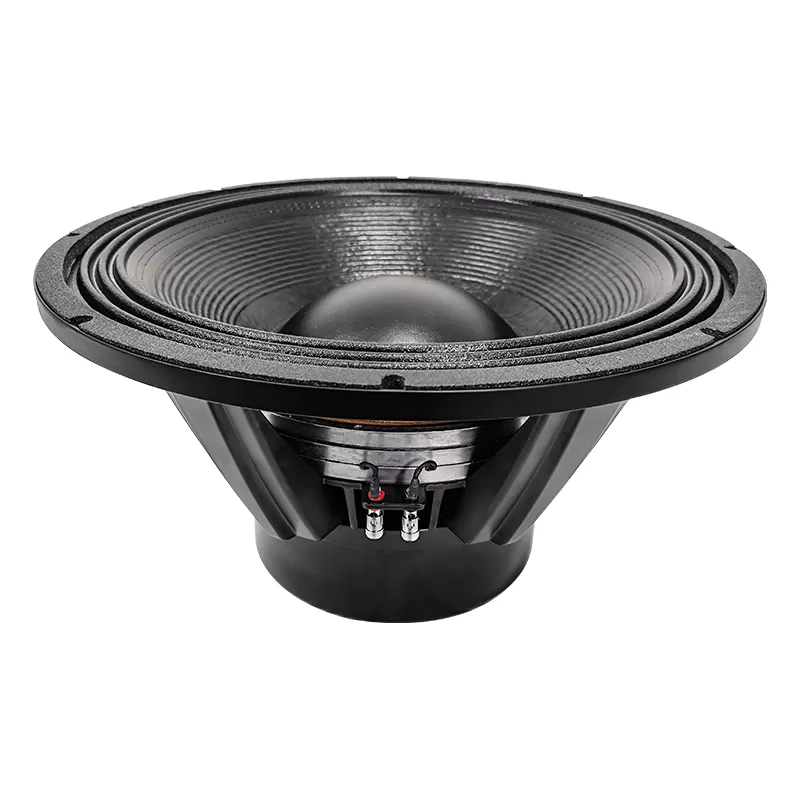 DF21N200-4 21 inch subwoofer Neo magnet speaker