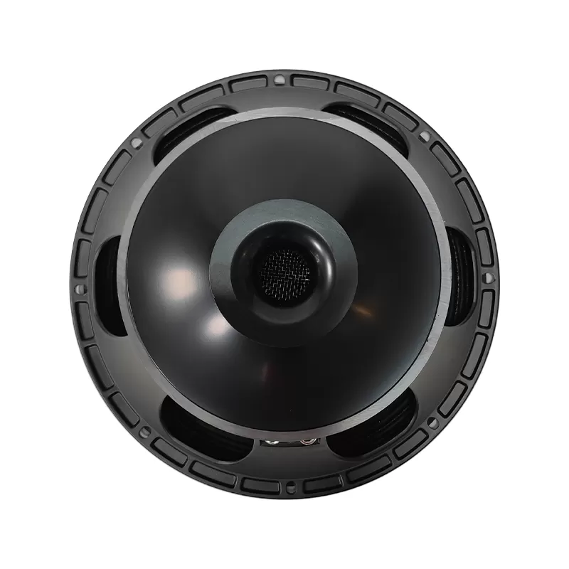 MR12MB700 audio speaker 12 inch woofer